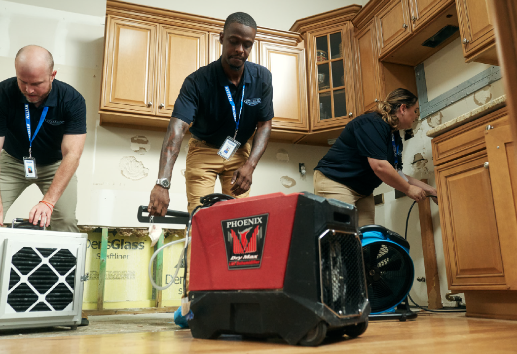 How Water Damage Repair in Oregon City Prevents Costly Structural Issues