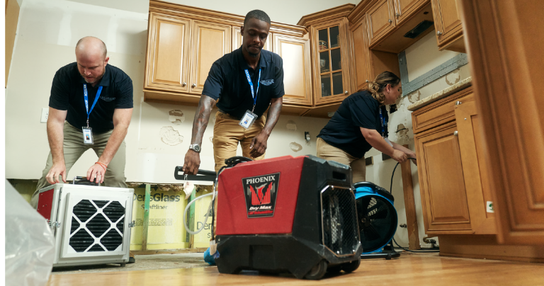 How Water Damage Repair in Oregon City Prevents Costly Structural Issues