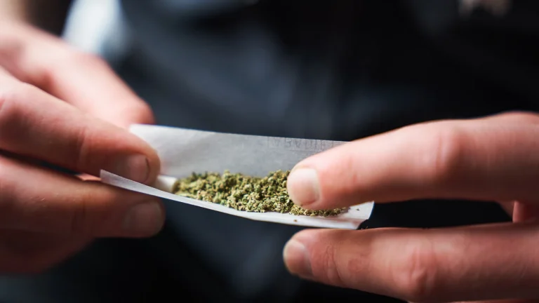 Experience Better Cannabis Shopping With Online Wiet Kopen Today
