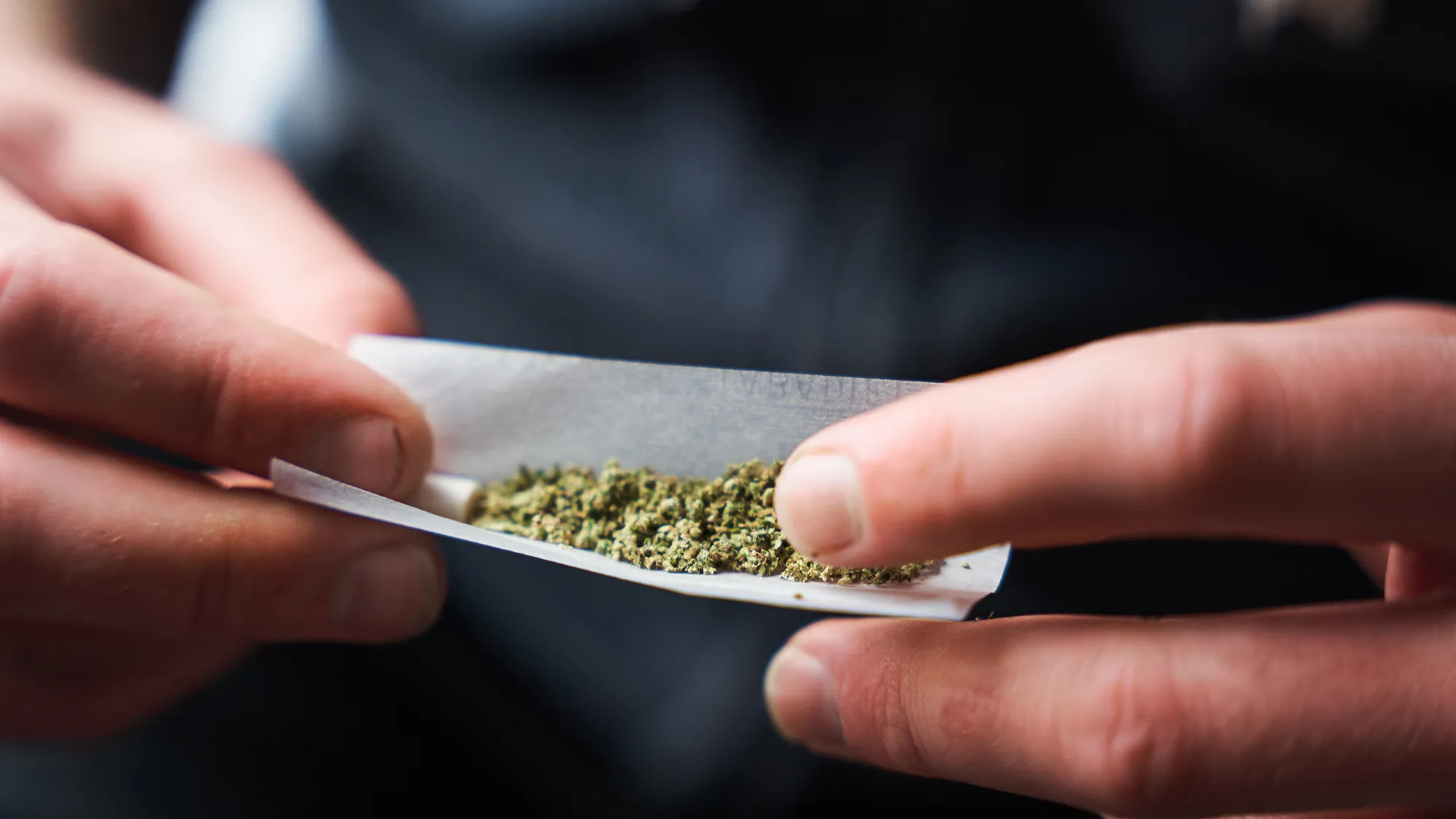 Experience Better Cannabis Shopping With Online Wiet Kopen Today