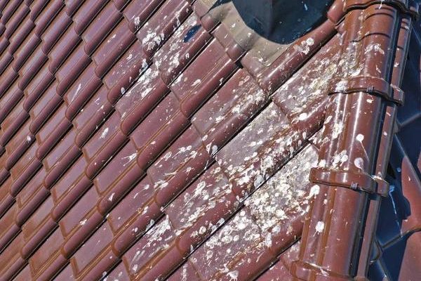 Upgrade Your Roof with a Roofing Company in Greene County