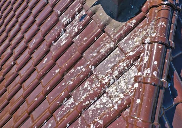Upgrade Your Roof with a Roofing Company in Greene County